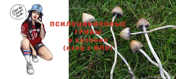 эйфоретик Алексеевка