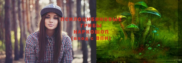 эйфоретик Алексеевка